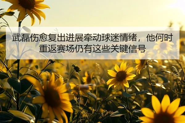 武磊伤愈复出进展牵动球迷情绪，他何时重返赛场仍有这些关键信号